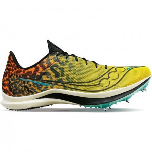 Buty do Biegania Saucony Endorphin Cheetah Damskie Kolorowe | POLSKA-ORBZW