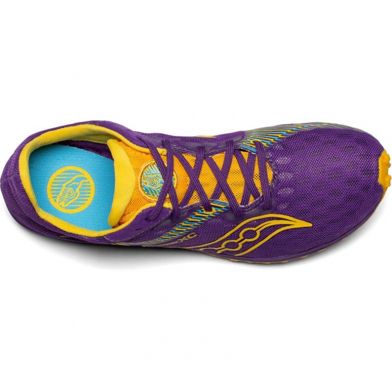 Buty Kolce Lekkoatletyczne Saucony Kilkenny XC9 Damskie Fioletowe | PL-UPWZF