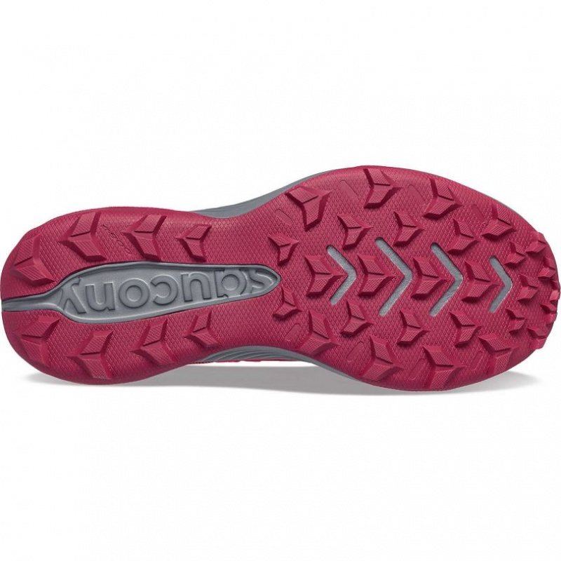 Buty do Biegania w Terenie Saucony Blaze TR Damskie Różowe | POLSKA-OAIQL