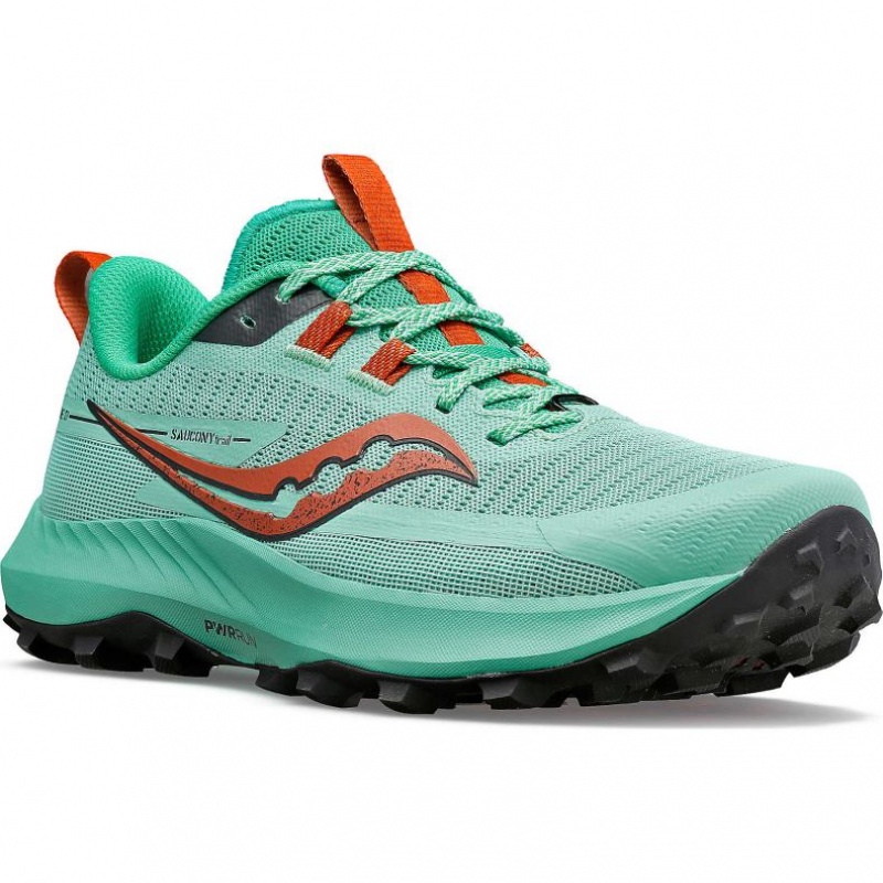 Buty do Biegania w Terenie Saucony Peregrine 13 Damskie Turkusowe | POLSKA-ZCMDT