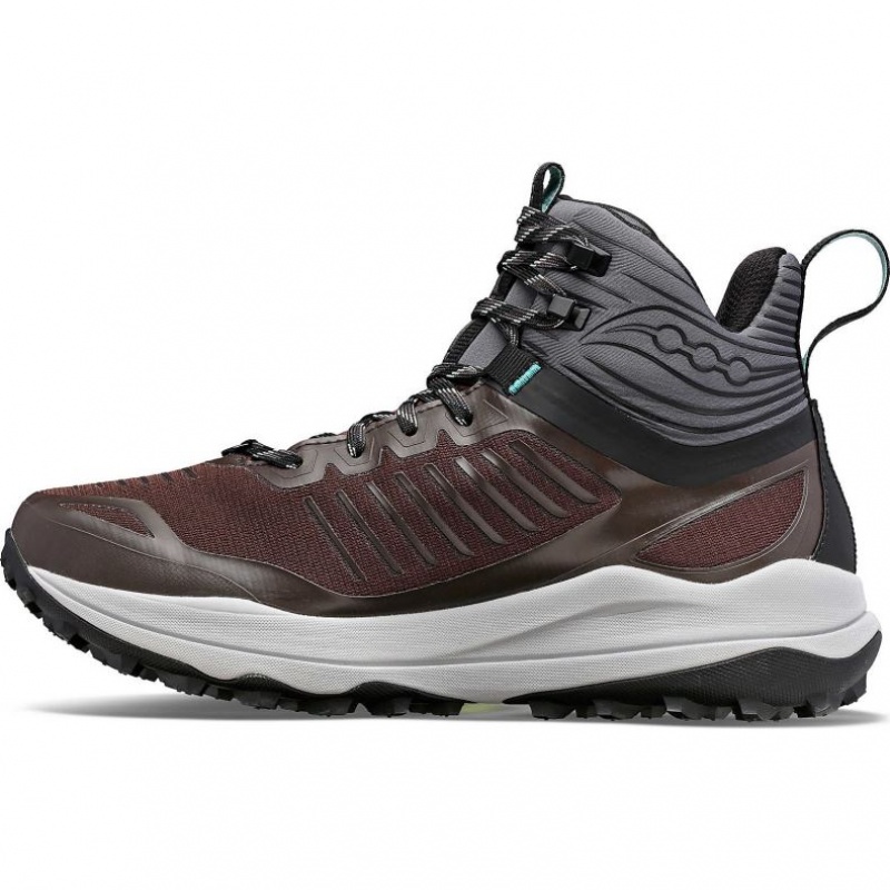 Buty do Biegania w Terenie Saucony Ultra Ridge GTX Damskie Brązowe | PL-OQMHS